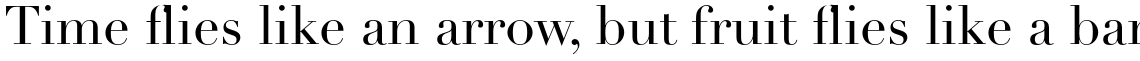 Linotype Didot Pro Roman