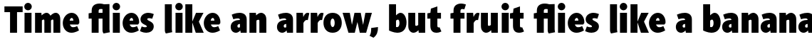 Agilita Pro Black Condensed