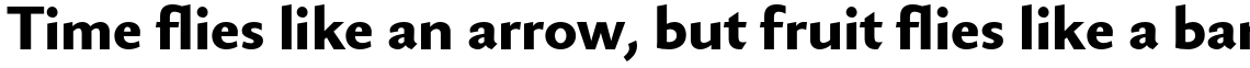 Berling Nova Sans Pro Extra Bold