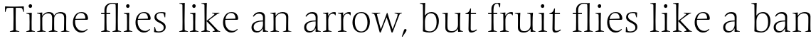 Frutiger Serif Pro Light