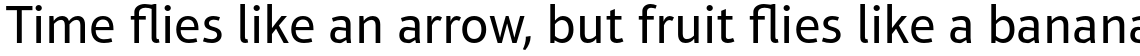 Aptifer Sans Pro Regular