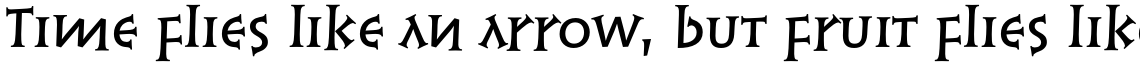 Linotype Syntax Lapidar Serif Text Pro Medium