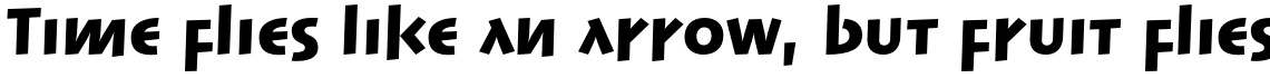 Linotype Syntax Lapidar Text Pro Black