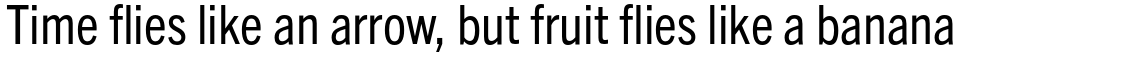 Trade Gothic Next Pro Condensed