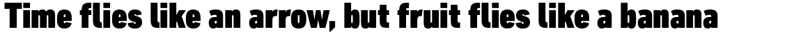 DIN Next Pro Condensed Black