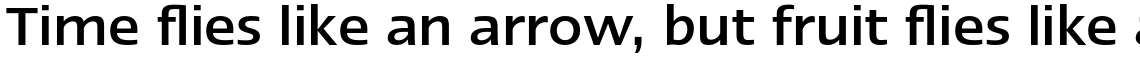 Linotype Ergo Paneuropean Medium