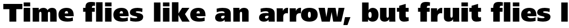 Frutiger Next Paneuropean Black