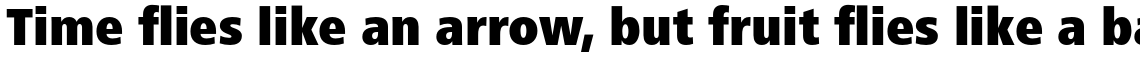 Frutiger Next Paneuropean Condensed Black
