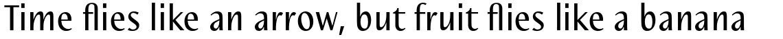 Nautilus Text Pro Regular