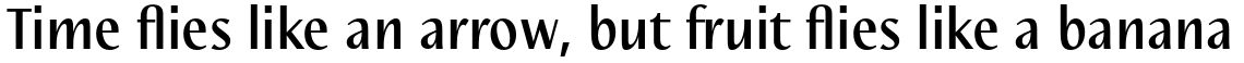 Nautilus Text Pro Medium
