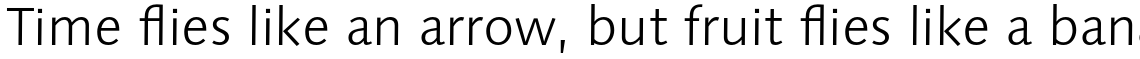 Syntax Next Pro Light