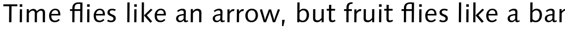 Syntax Next Pro Regular