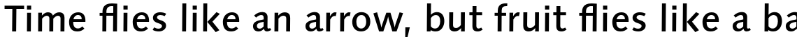 Syntax Next Pro Medium