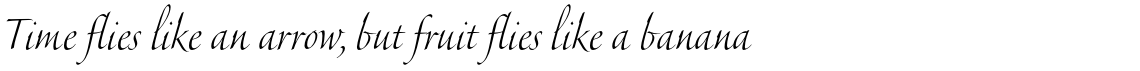Veljovic Script Pro Light