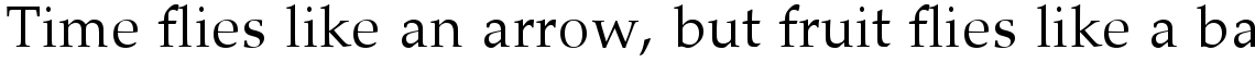 Palatino Arabic Std Regular