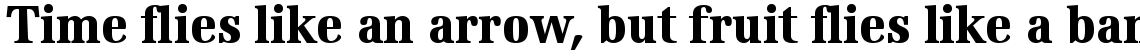 Edison Com Bold Condensed