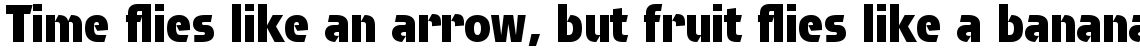 Brda Com Extra Bold