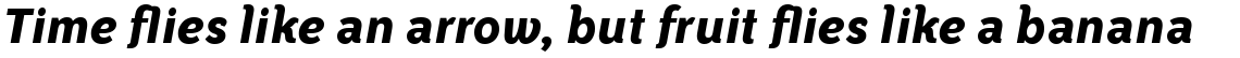 ITC Bailey Sans Com Bold Italic