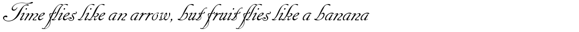 Cancellaresca Script Com