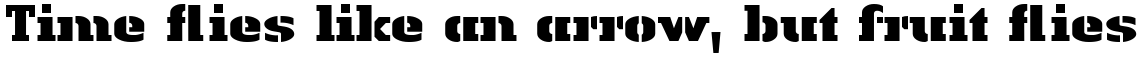 Linotype Authentic Stencil Com Black