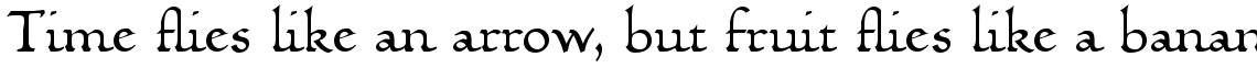 Linotype Humanistika Com Regular