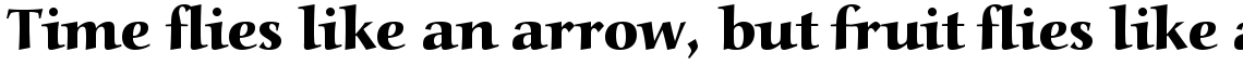Alcuin Com Extra Bold
