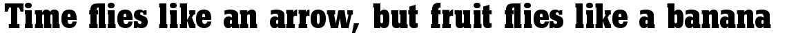 Beton Com Bold Condensed