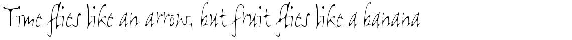 Flight Com