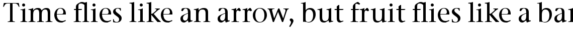 ITC Stone Serif Com Medium