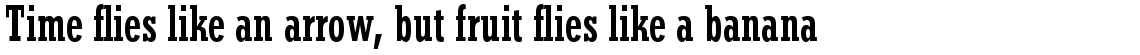 Stymie Com Bold Condensed