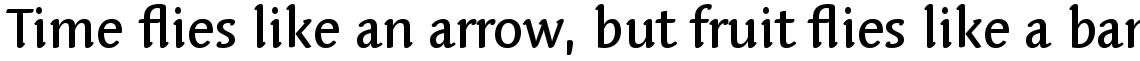 Linotype Syntax Letter Com Medium