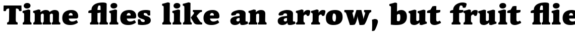 Linotype Syntax Serif Com Black