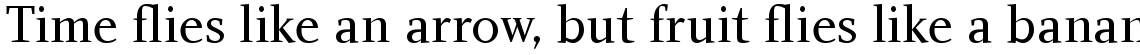 Charlotte Serif Com Book