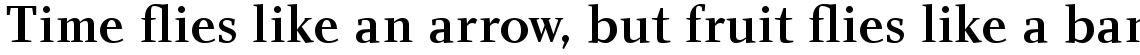 Charlotte Serif Com Medium