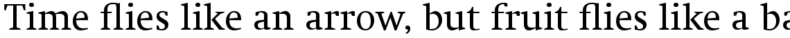 Swift Com Regular