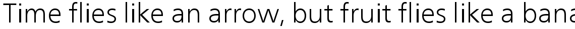Neue Frutiger Com Light