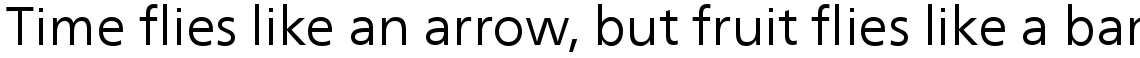 Neue Frutiger Com Book