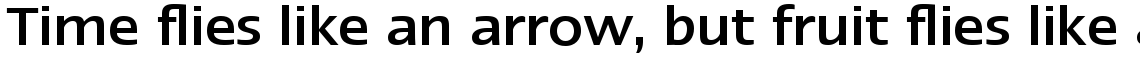 Linotype Ergo W2G Medium