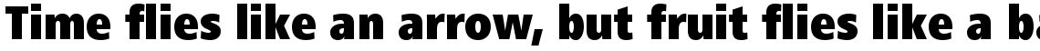 Frutiger Next Central European Black Condensed