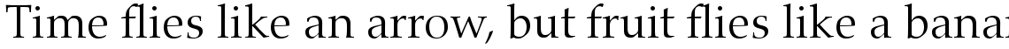 Palatino nova Com Light