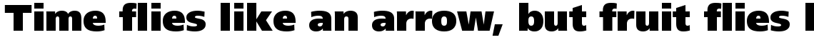 Frutiger Next Com Black