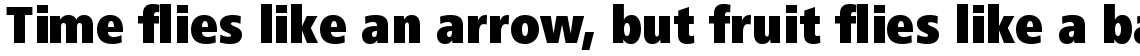 Frutiger Next Com Condensed Black