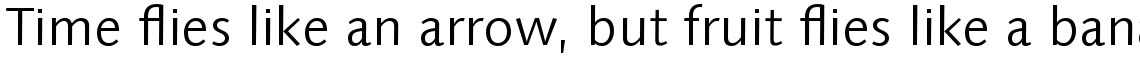 Linotype Syntax Com Light