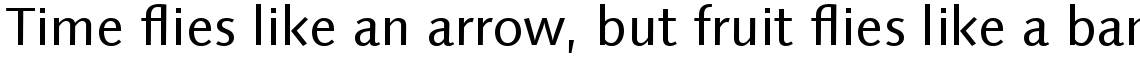 Linotype Syntax Com Regular