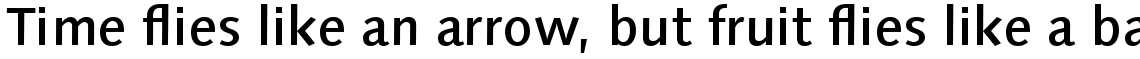Linotype Syntax Com Medium