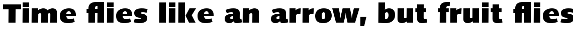 Linotype Syntax Com Black
