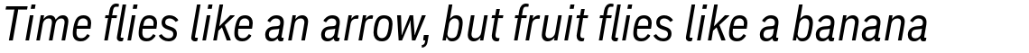 Embarcadero Condensed Italic