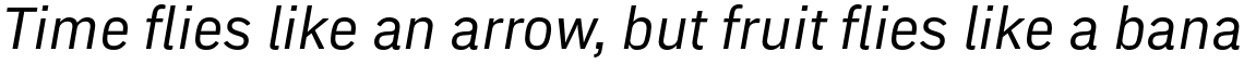 Embarcadero Italic