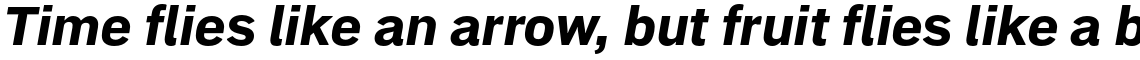 Embarcadero Extra Bold Italic