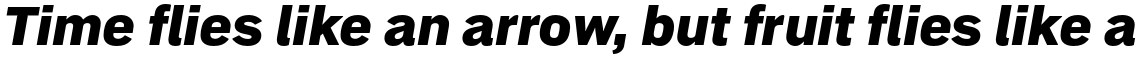 Embarcadero Black Italic